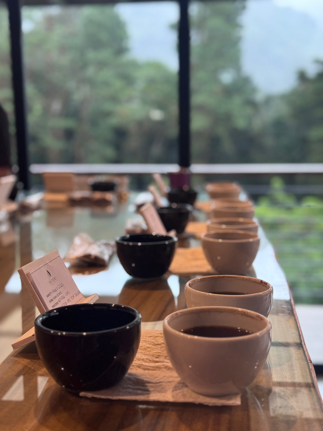 Coffee cupping bowls — how specialty coffee is professionally graded