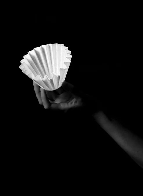 Sibarist WAVE high-performance specialty coffee filter for wave-style brewers