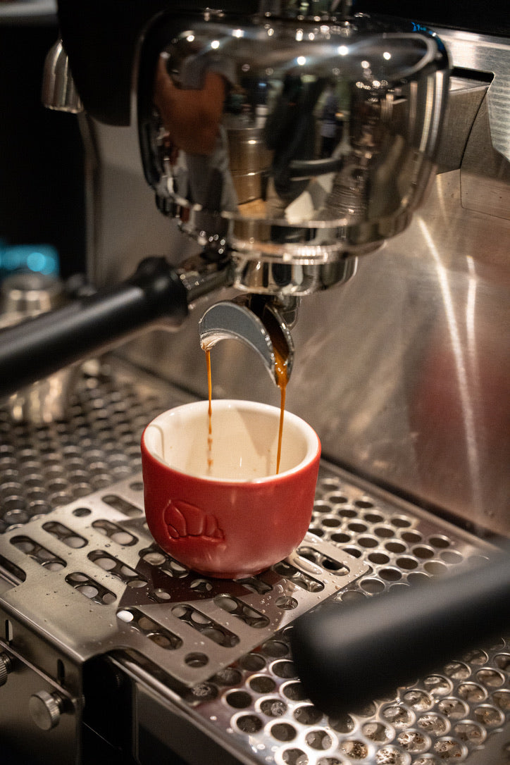 Brü Specialty Coffee home barista course — learn espresso mechanics and extraction techniques